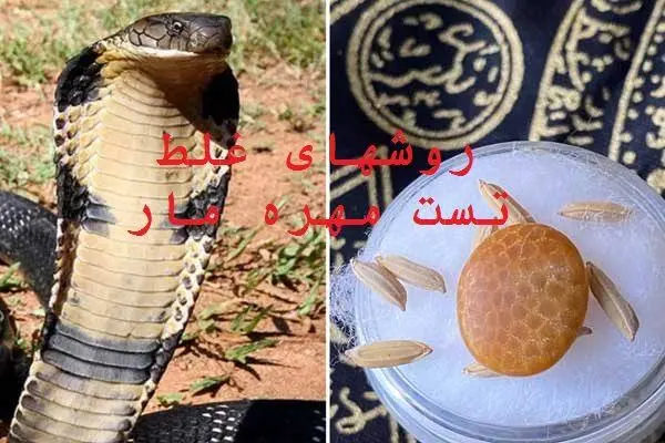 روشهای غلط تست مهره مار