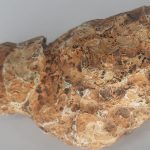 عرج سلطانی با چهره مار