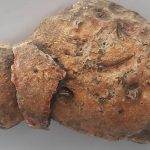 عرج سلطانی موکلدار
