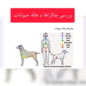 دانلود چاکرا حیوانات و گیاهان 4 چاکرا حیوانات و گیاهان