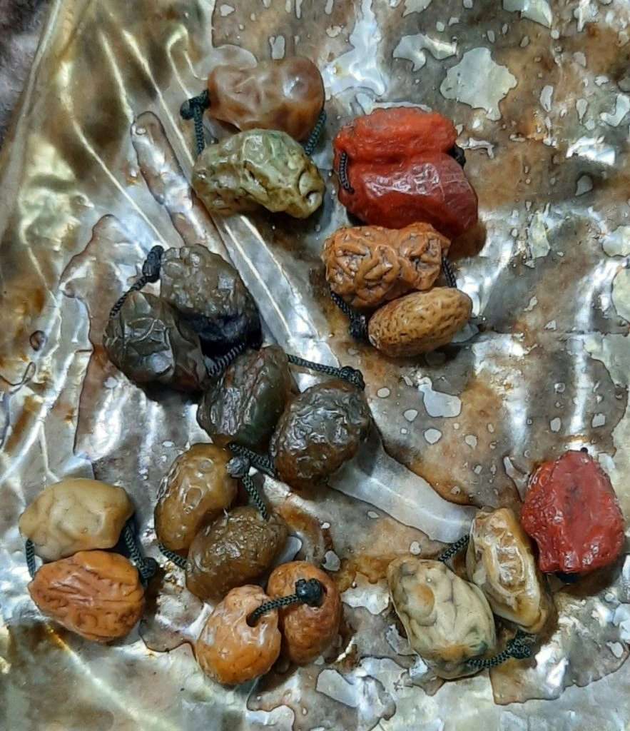 خواص زوعه مار 4 زوعه مار اصل