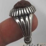انگشتر زوعه مار جنگلی