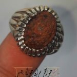 انگشتر زوعه مار جنگلی