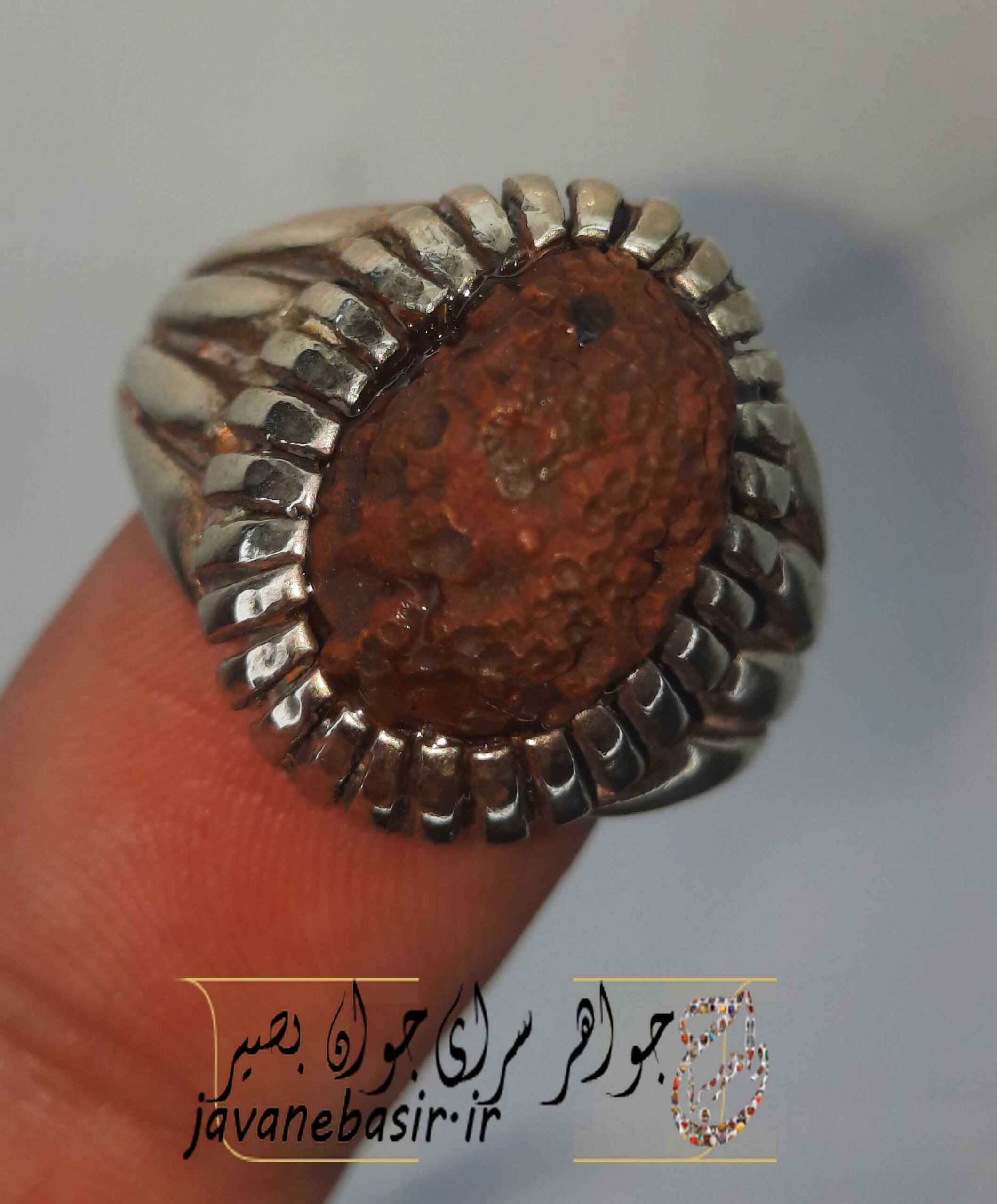 انگشتر زوعه مار جنگلی