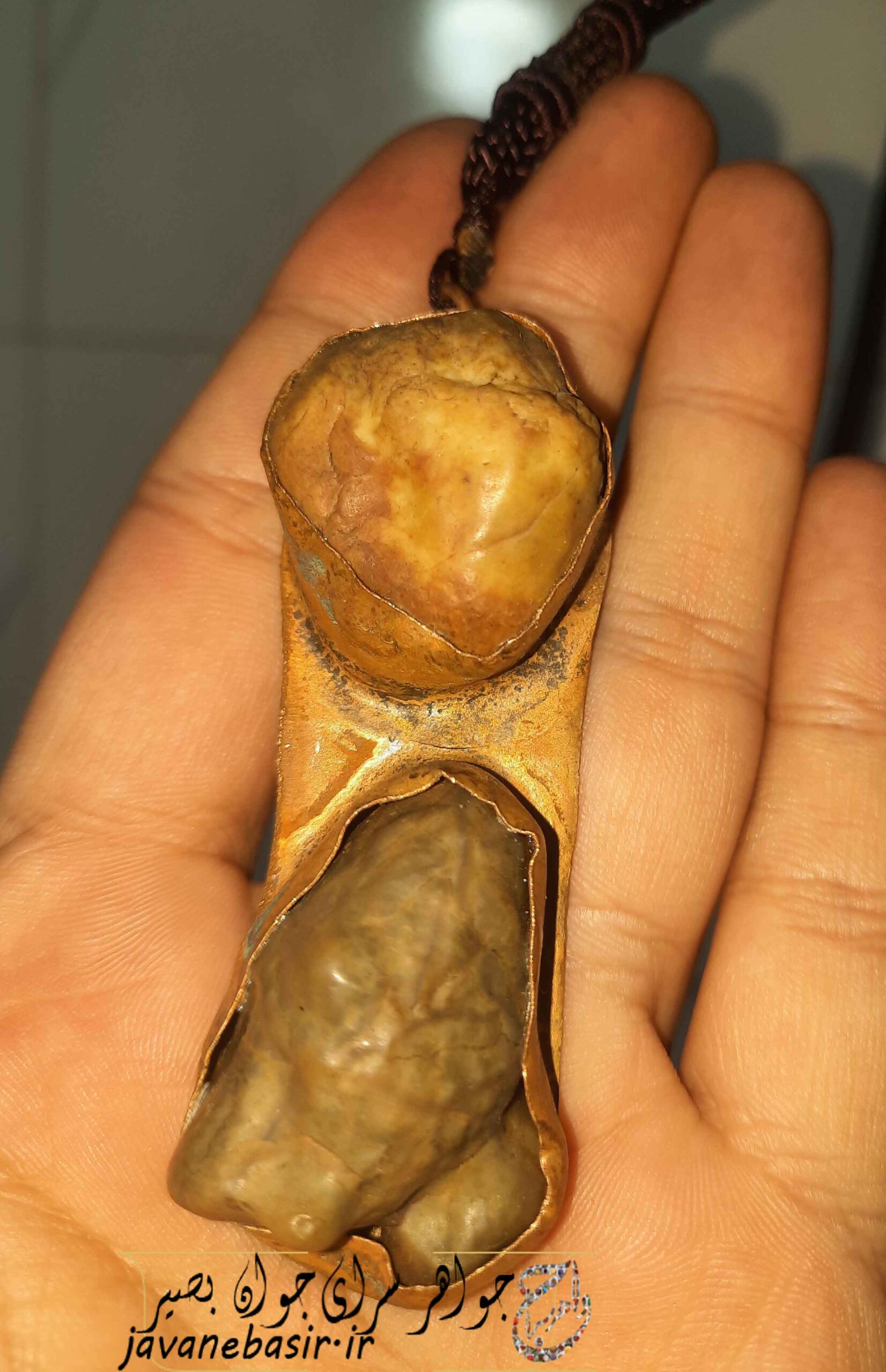 استفراغ مار