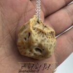زوعه مار