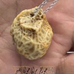 زوعه مار