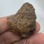 خرید سنگ زوعه مار درشت و اصل