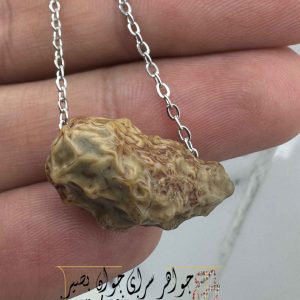 گردنبند زوعه مار رگه طلایی