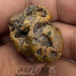 زوعه مار طبیعی بکر و دستنخورده