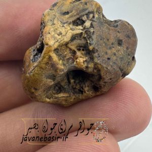 زوعه مار طبیعی بکر و دست‌نخورده