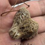 خرید گردنبند زوعه مار اصل با چهره خفته