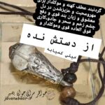گردنبند عطف