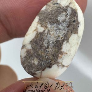 فیروزه سفید – فیروزه آمریکایی مصور