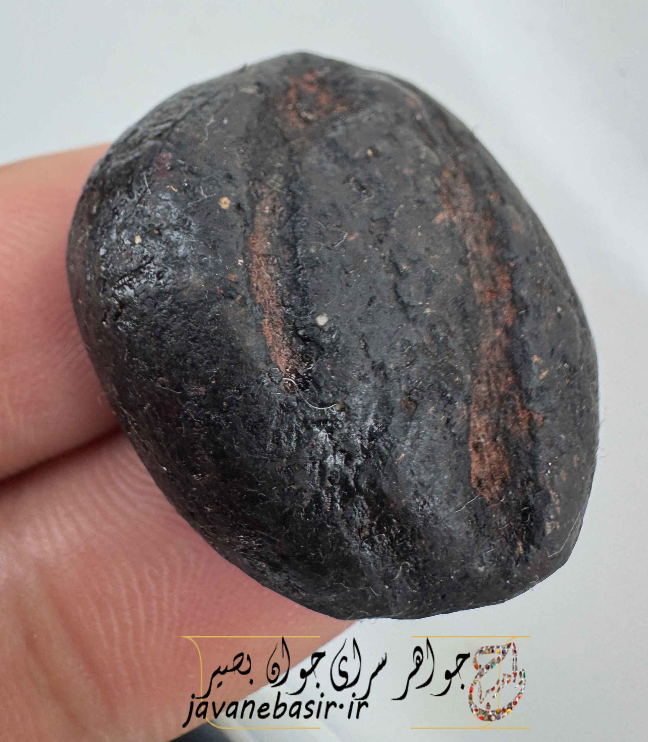 هبهاب قدمت دار درجه 1