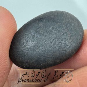 مهره هبهاب سیاه آفریقا