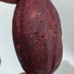 گوهر هبهاب خونی: عشق، ثروت، آرامش، محافظت، تمرکز و کاریزما