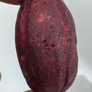 گوهر هبهاب خونی: عشق، ثروت، آرامش، محافظت، تمرکز و کاریزما