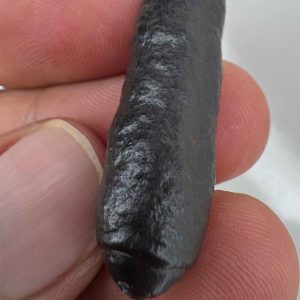 فروش هبهاب نیزکی آوای خرد کیهانی