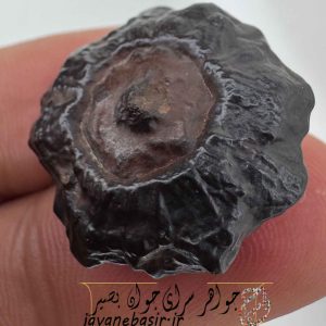 مهره هبهاب اصیل؛ کلید گشایش درهای ثروت، عشق و سکون روحی