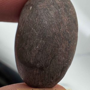 سنگ هبهاب؛ ابزار تقویت تمرکز، حافظه و افزایش هوش و ذکاوت