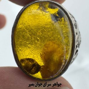 انگشتر مورچهدار خاص؛ کپسول زمان با طرح کهربای باستانی 7 انگشتر مورچهدار خاص