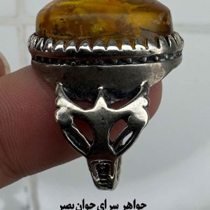 انگشتر رازآلود حشرهدار؛ تلفیق انرژی طبیعت و طرح کهربا