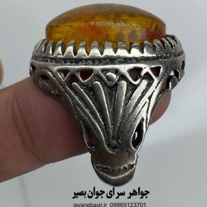 جذب ثروت با انگشتر مورچهدار؛ درخشش طرح کهربا