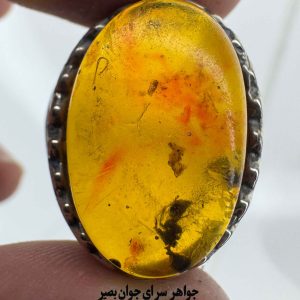 انگشتر کاریزماتیک مورچهدار؛ شکوه طرح کهربا 8 انگشتر کاریزماتیک مورچهدار