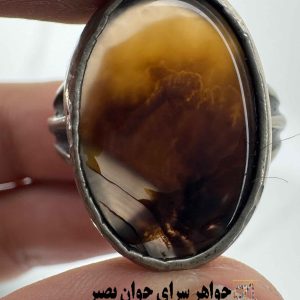 انگشتر عقیق شجر اصل