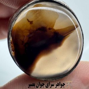 انگشتر شجر دنباله‌دار