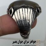 انگشتر شجر دنباله قائن