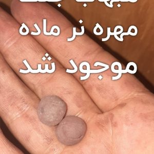مهره هبهاب جفتی فعال مجرب 7 مهره هبهاب جفتی