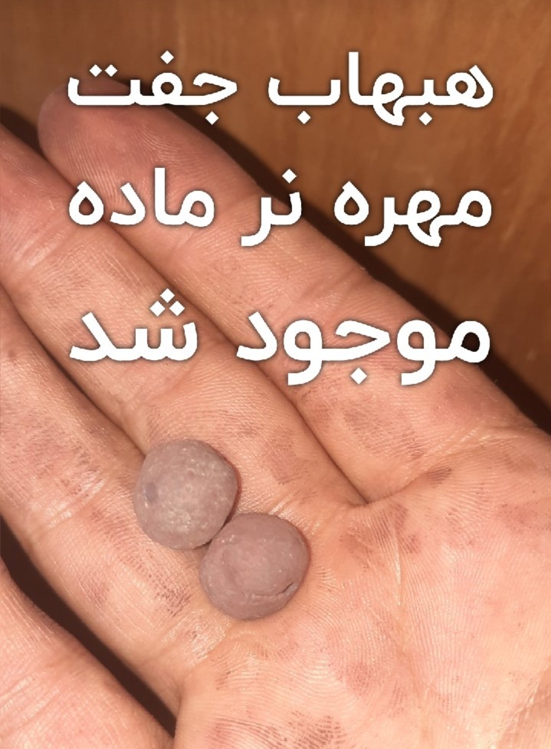 مهره هبهاب جفتی فعال مجرب 3 مهره هبهاب جفتی