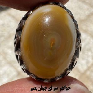 انگشتر باباقوری آفریقایی اصل | استقامت مالی و دفع خستگی 5 انگشتر باباقوری آفریقایی اصل