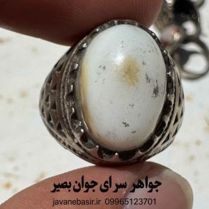 انگشتر باباقوری سفید اصل | شروع دوباره کسبوکار و پاکسازی انرژی 11 انگشتر باباقوری سفید اصل