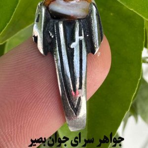 انگشتر باباقوری مصور اصل | طلسم طبیعی و گشاینده گرههای کور