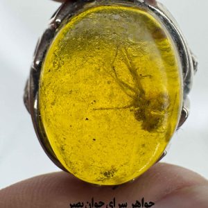 انگشتر مورچهدار؛ جادوی طرح کهربا در جذب کائنات 7 انگشتر مورچهدار