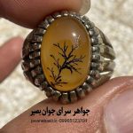 خرید انگشتر عقیق زرد طرح شجر | پیروزی در امور و کسب اعتبار