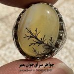 انگشتر عقیق زرد نقش شجر | آرامش ذهن و حصار دفع چشم‌زخم