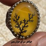 انگشتر عقیق زرد نقش درخت | وضوح ذهن و افزایش تمرکز