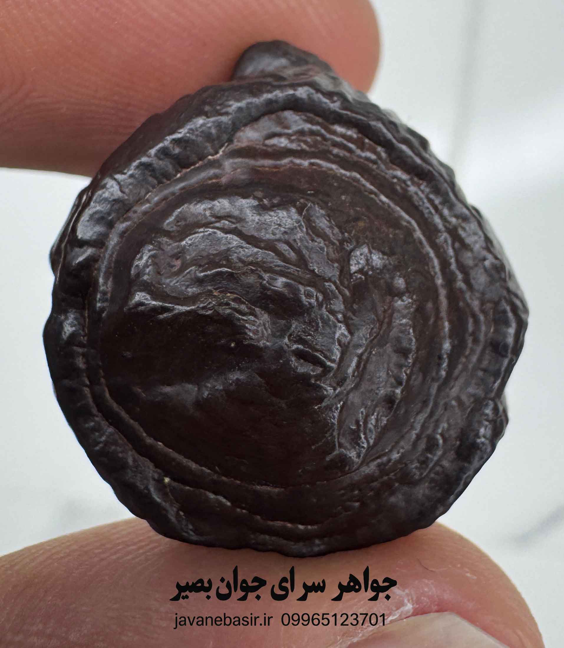 مهره هبهاب فلکی