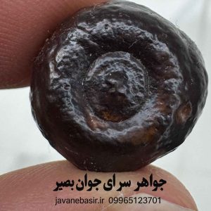خرید هبهاب فلکی مصر هوروس | دفع شر، جذب پول و گشایش کار 4 هبهاب فلکی مصر