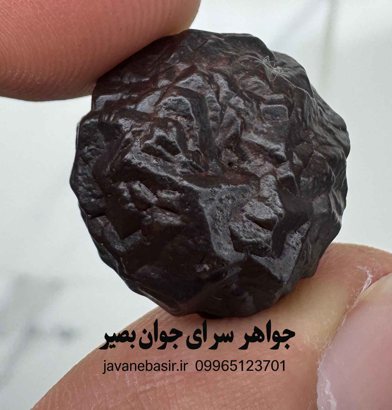 مهره هبهاب فلکی مصر