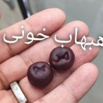 جفت مهره هبهاب خونی