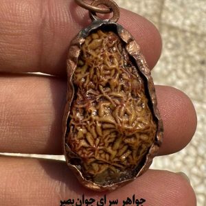 زوعه مار