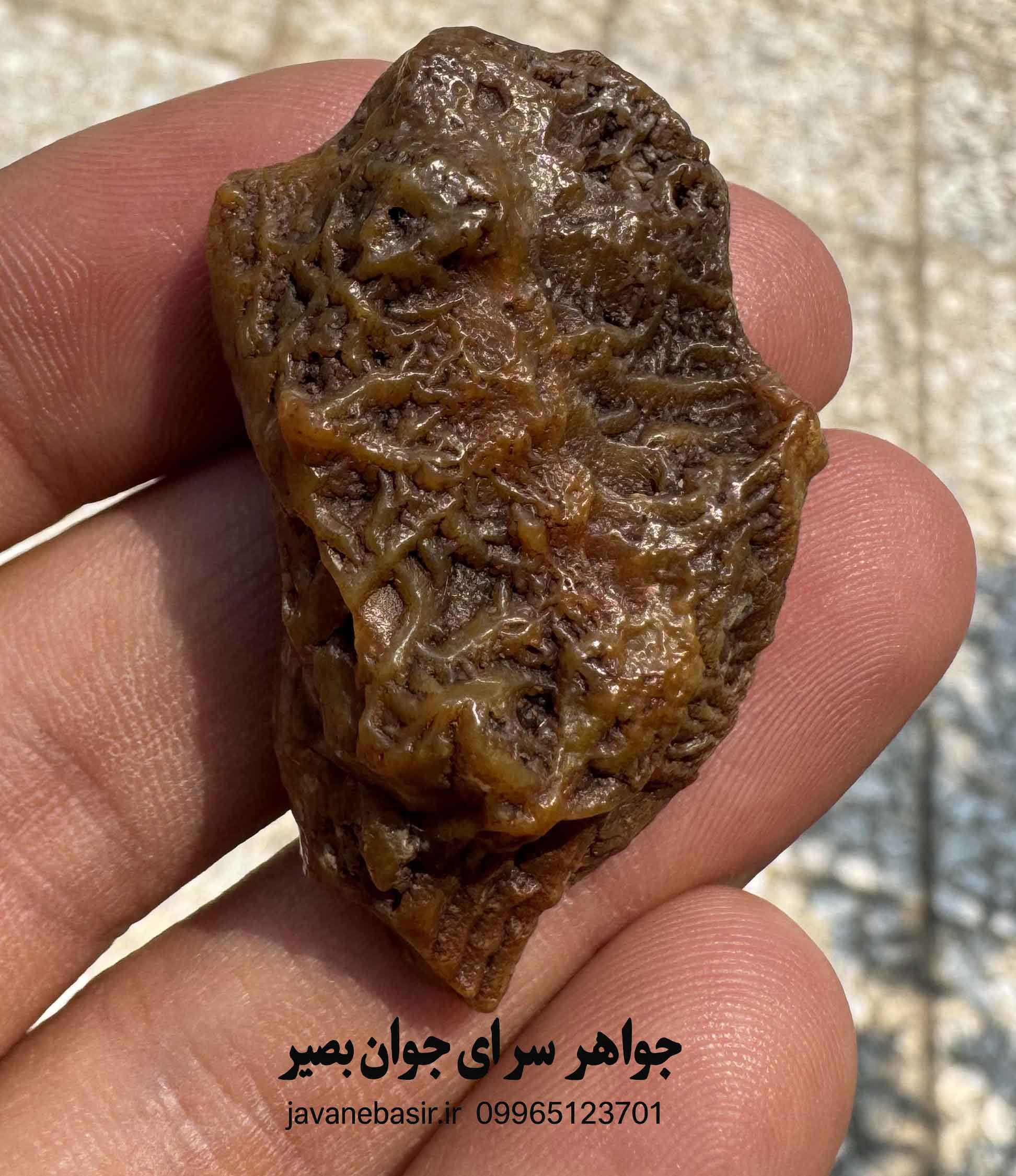 سنگ زوعه مار اصل
