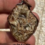 گردنبند زوعه مار