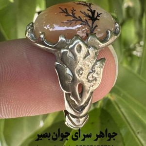 جواهر سرای جوان بصیر | مرجع تخصصی علوم غریبه و طب سنتی 231 خرید انگشتر عقیق زرد و سرخ اصل | حکاکی دستی شجر