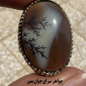خرید انگشتر عقیق با کاروینگ شجر | رکاب فیلی حصاری 12 خرید انگشتر عقیق با کاروینگ شجر
